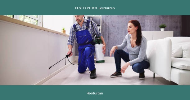 PEST CONTROL Reedurban